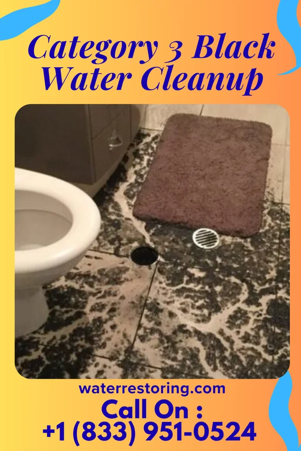 Category 3 Black Water Cleanup in Grover, NC