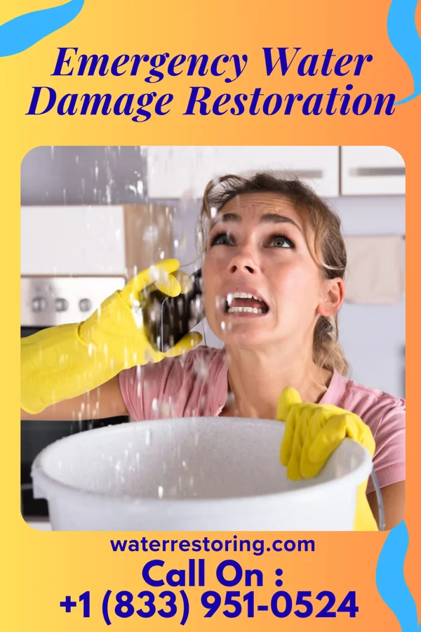 Emergency Water Damage Restoration in Grover, NC